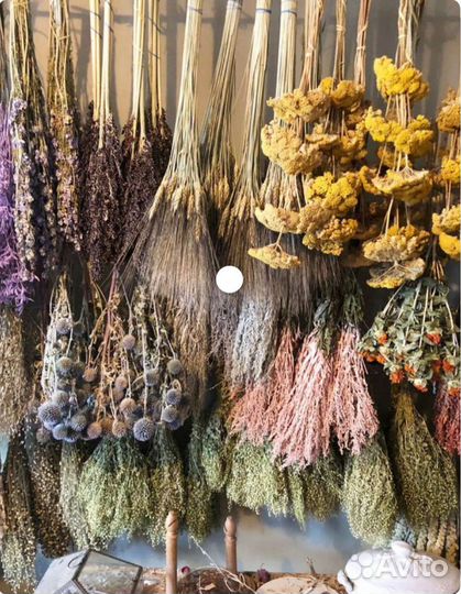 Сухоцветы для творчества