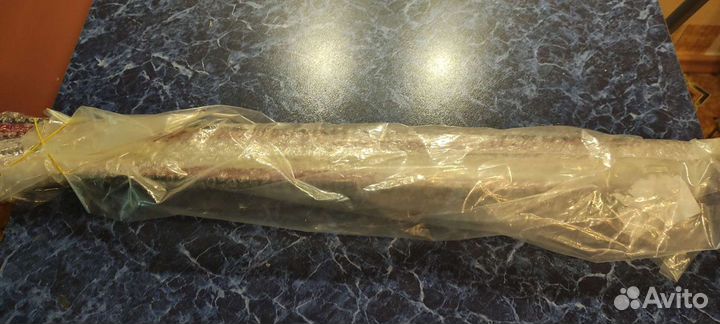 Накладки на внутренние пороги Ниссан Тиида