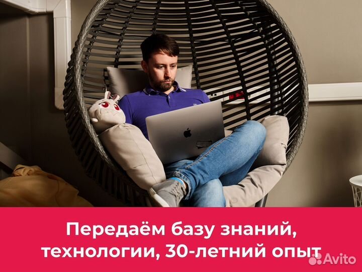 Франшиза BoxBerry без роялти, доход от 380.000 р