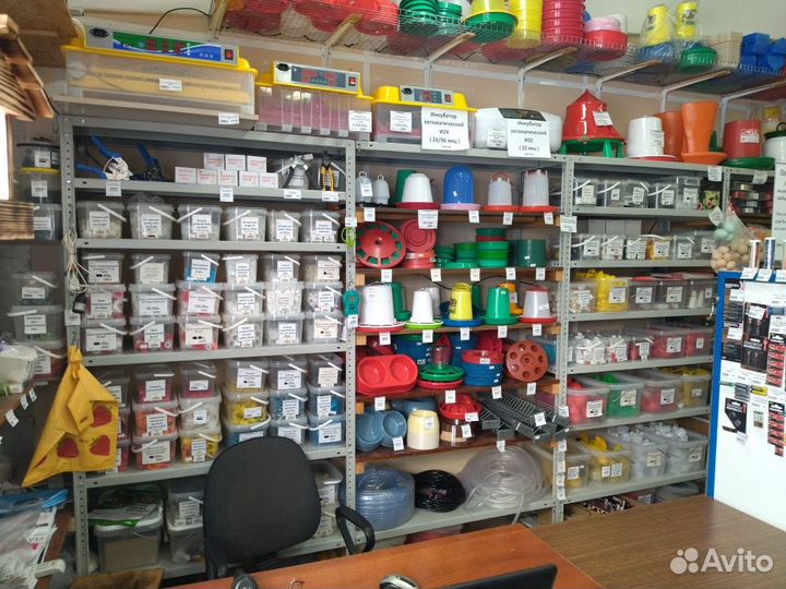 Поилки для птицы