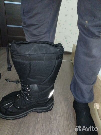 Баск Арктик