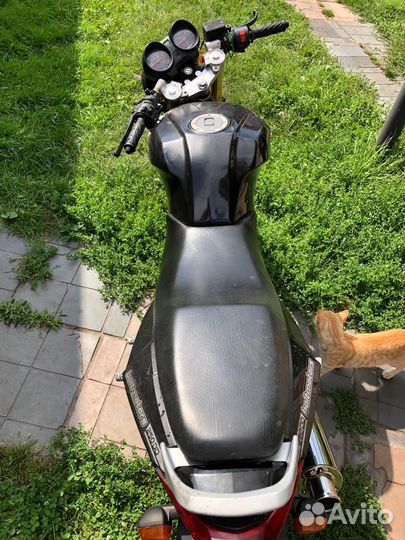 Baltmotors street 250