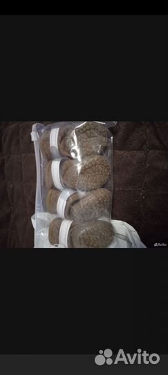 Обувь для маленьких пород собак