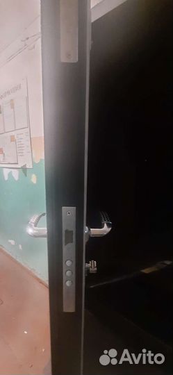 Дверь входная металлическая с зеркалом
