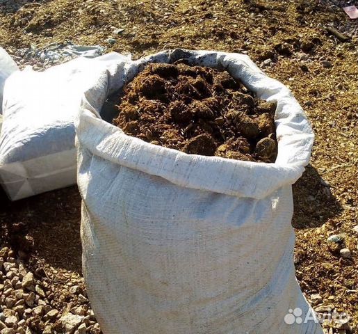 Конский навоз/опилки/сено