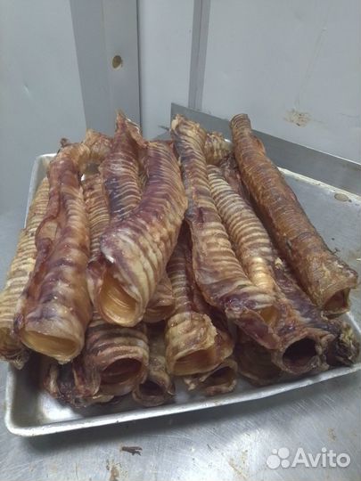 Сушеные лакомства для собак и кошек