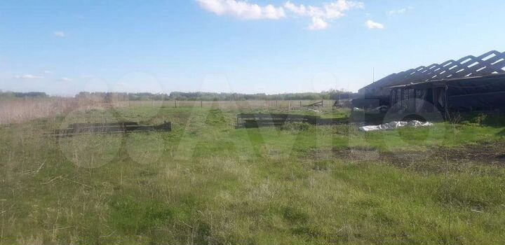 Участок 3 га (СНТ, ДНП)