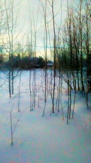 Участок 17 сот. (ИЖС)