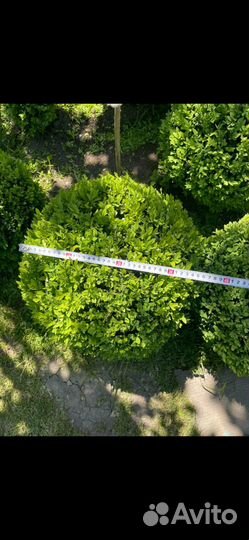 Перегной 2/3г,чернозем первосортный,доставка,от 1т