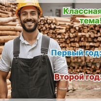 Агентство по деревообработке в городе, Братислава