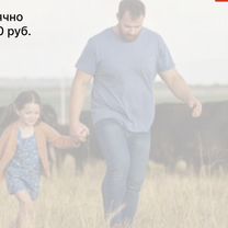 Сельскохозяйственное агентство в городе Мурманск, Мурманск