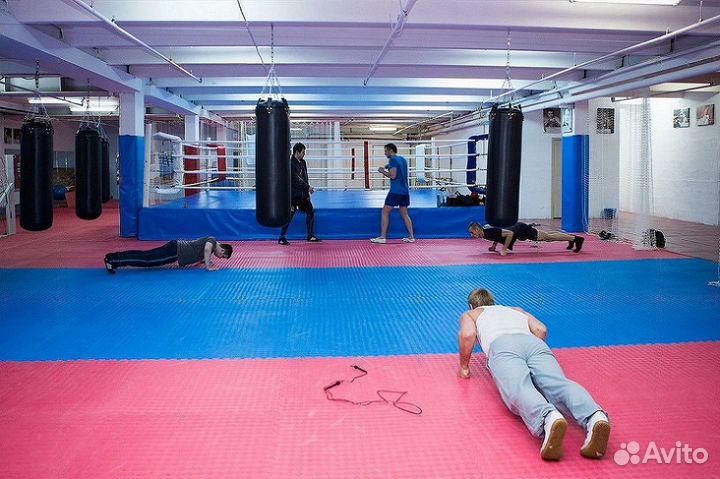 Будо-маты ласточкин хвост