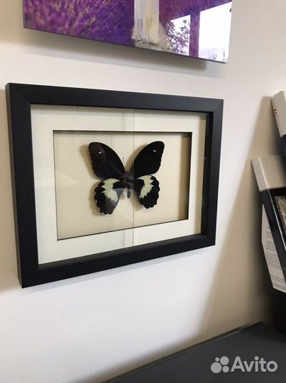 Музейное стекло