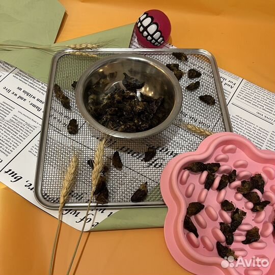 Дрессировка собак (вкусняшки)