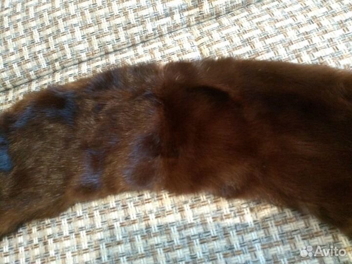 Новый воротник из норки