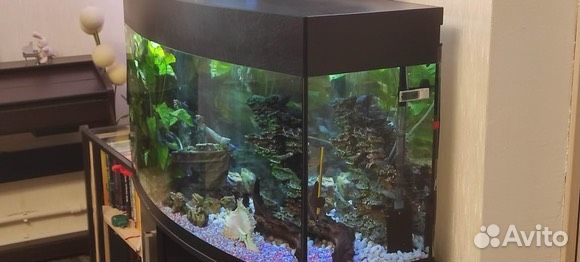 Аквариум