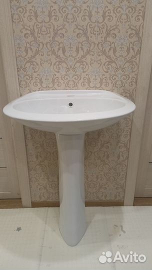 Раковина тюльпан