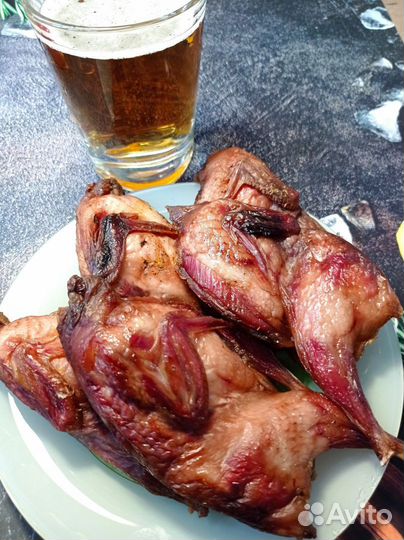 Перепела продажа