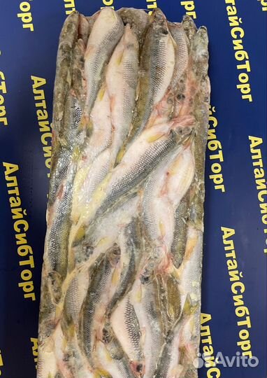 Корюшка свежая