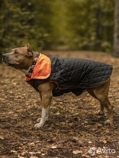 Попона для собак, куртка комбинезон