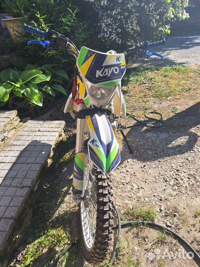 Kayo k1 2021