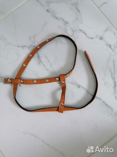 Шлейка для маленькой собаки