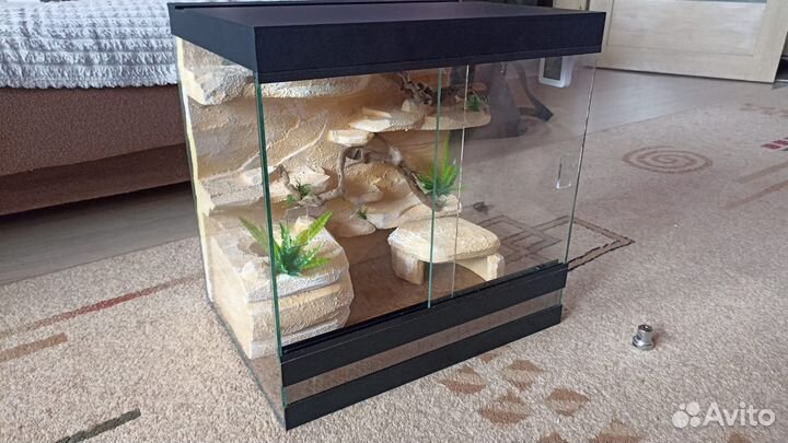 Террариумы для рептилий
