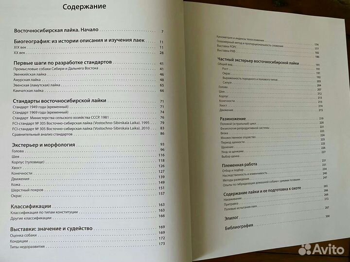 О восточносибирской лайке и не только