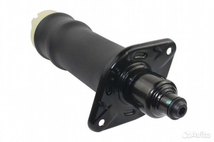 Пневмобаллон Audi A6 C5 задний правый