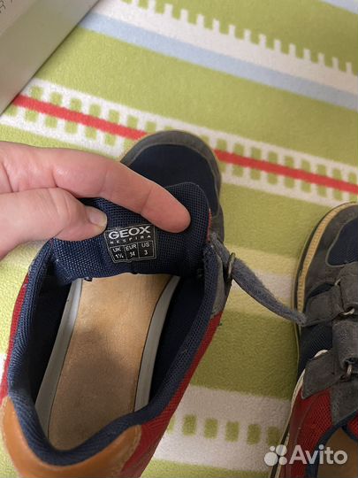 Кеды geox 34