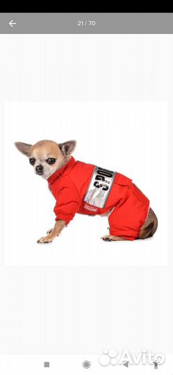 Комбинезон для маленькой собаки XS