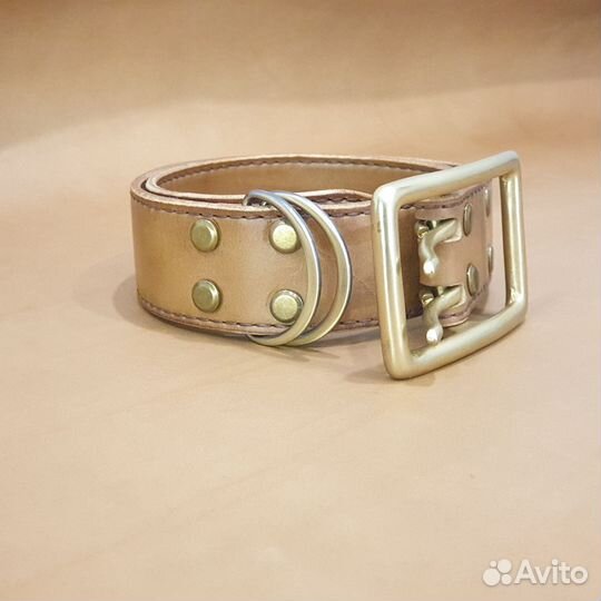 Ошейник для собак