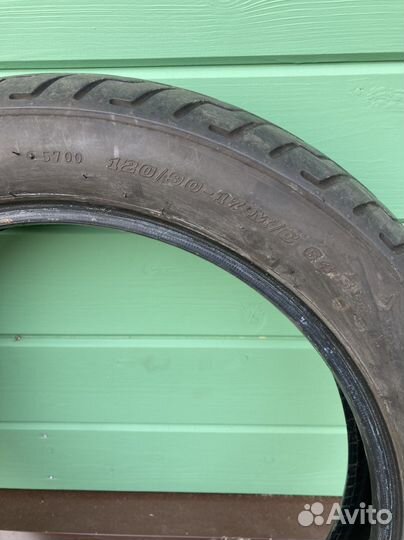 Мотошина dunlop