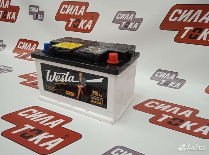 Аккумулятор для Opel opc низкий