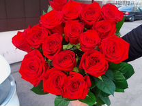 Розы свежие красивые "Prestige" с доставкой цветы