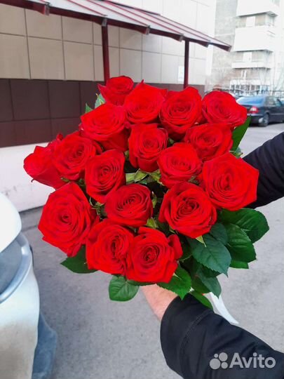 Розы свежие красивые 