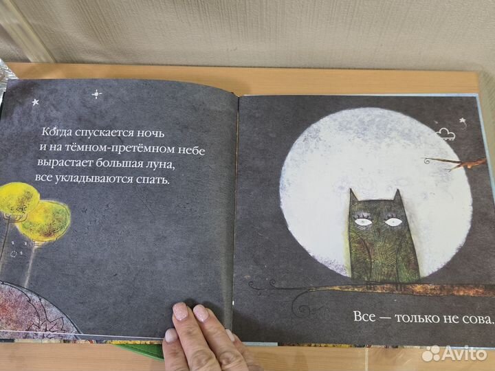 Сонная книжка Иль Сунг На