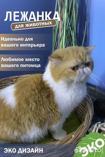 Лежанка для кошки