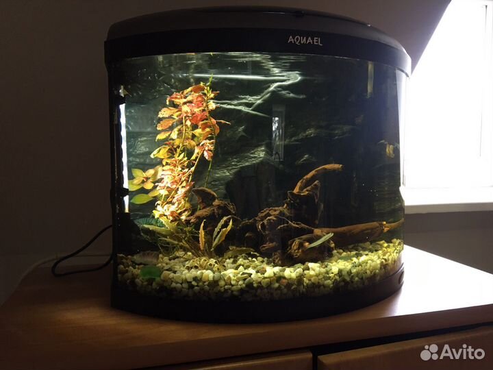 Аквариум Aquael Pearl панорамный