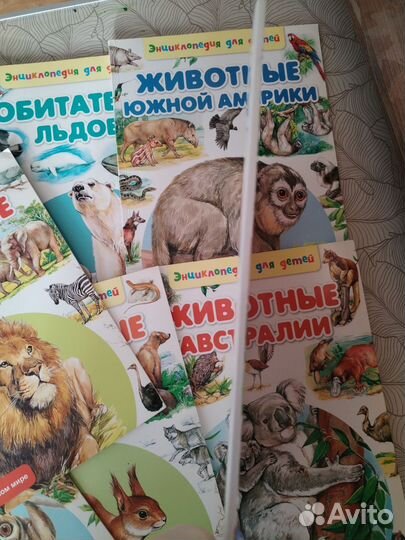 Энциклопедия для детей