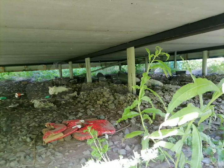 Дом 35 м² на участке 10 сот.