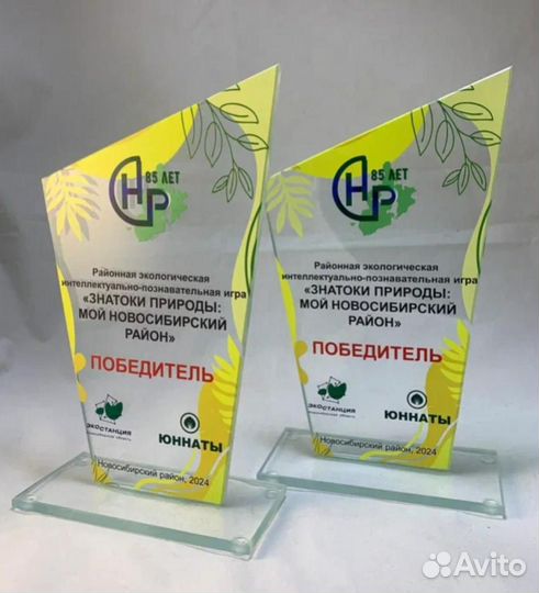 Награды / Призы / Под заказ из стекла