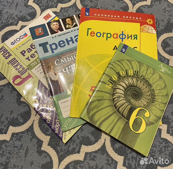 Рабочие тетради 5-6 класс