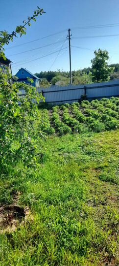 Дом 36 м² на участке 18 сот.