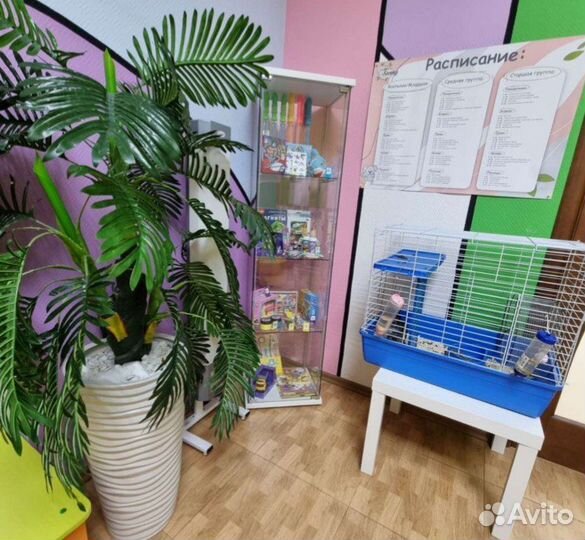 Частный детский сад группа полного дня