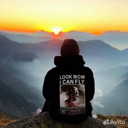 Худи Travis Scott Cactus jack