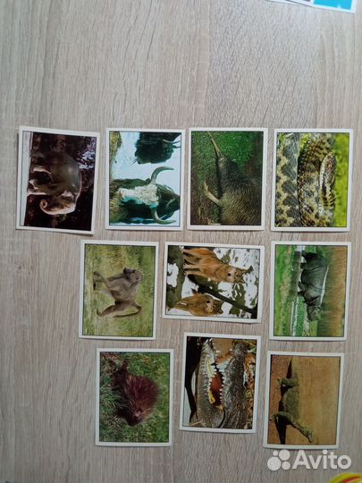 Наклейки к альбому Панини 