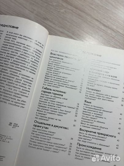 Книга про человекообразных обезьян