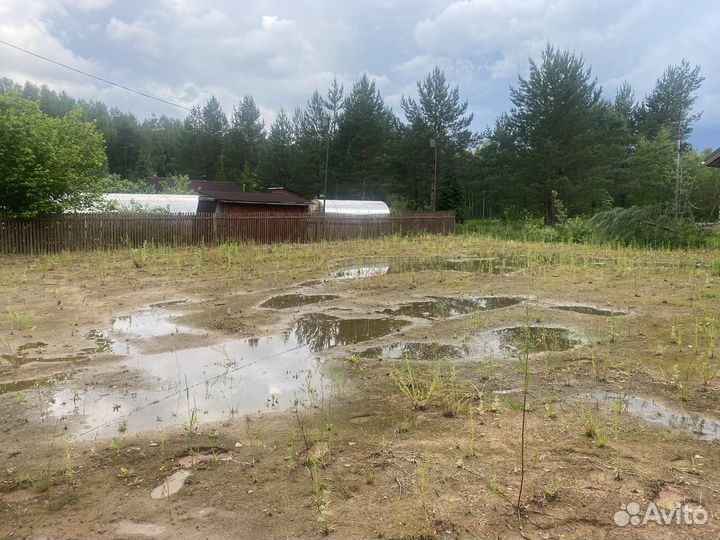 Приму грунт бесплатно