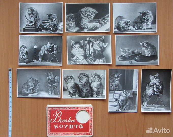 Веселые котята. Набор мини фото. Винтаж